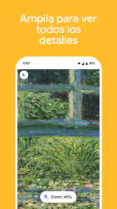 Google Arts & Culture screenshot