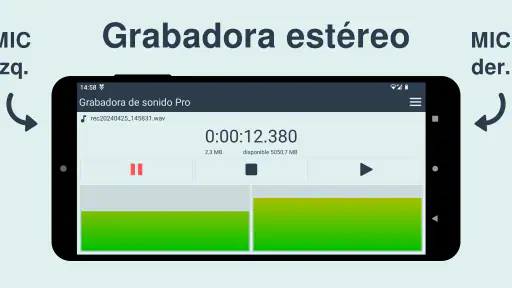 Grabadora de sonido Pro screenshot
