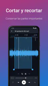 Grabadora de Voz Fácil Pro screenshot