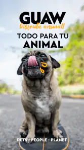 GUAW - DISFRUTA ANIMAL screenshot