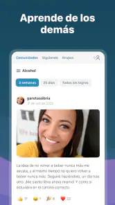 I Am Sober - Estoy sobrio/a screenshot