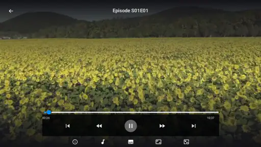 Ib Player - Smarter Live TV screenshot