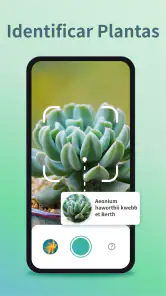 Identificar Plantas y Cuidado screenshot