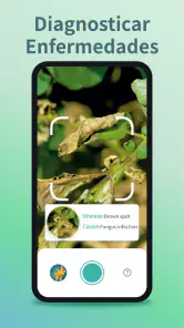 Identificar Plantas y Cuidado screenshot