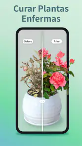 Identificar Plantas y Cuidado screenshot
