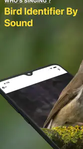 Identificador de Aves: Bird ID screenshot