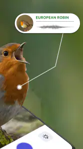 Identificador de Aves: Bird ID screenshot