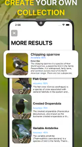 Identificador de Aves: Bird ID screenshot