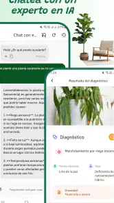Identificador de plantas screenshot