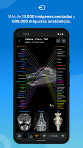 IMAIOS vet-Anatomy screenshot