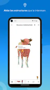 IMAIOS vet-Anatomy screenshot