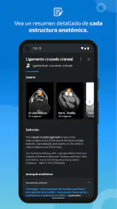 IMAIOS vet-Anatomy screenshot