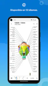 IMAIOS vet-Anatomy screenshot