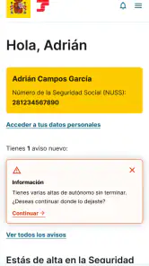 Importass Seguridad Social screenshot