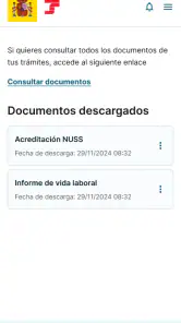 Importass Seguridad Social screenshot