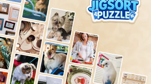 Jigsort Rompecabezas: Solit screenshot