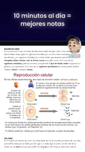 Knowunity | Apuntes y IA screenshot