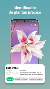 LeafCheck: Identificar Plantas screenshot