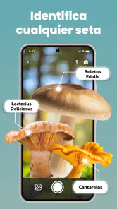 LeafCheck: Identificar Plantas screenshot