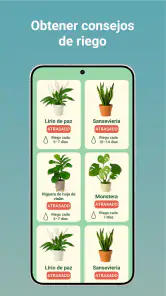 LeafCheck: Identificar Plantas screenshot