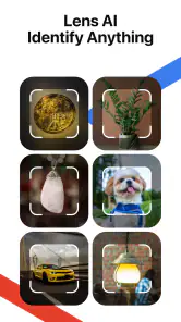 Lens AI: Identify Anything screenshot