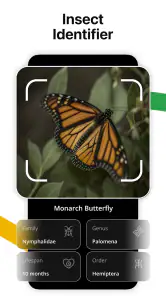Lens AI: Identify Anything screenshot