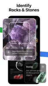 Lens AI: Identify Anything screenshot