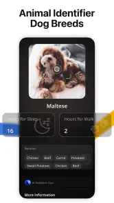 Lens AI: Identify Anything screenshot