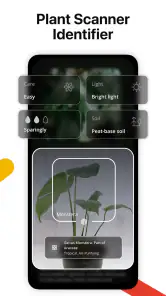 Lens AI: Identify Anything screenshot