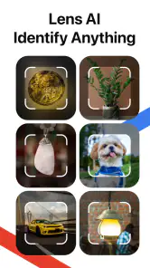 Lens AI: Identify Anything screenshot