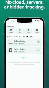 LocalSend: Transfer Files screenshot