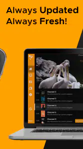 MaxPlayer ™ screenshot