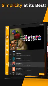MaxPlayer ™ screenshot