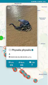 MedusApp screenshot