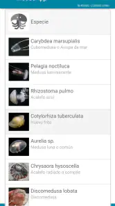 MedusApp screenshot