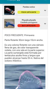 MedusApp screenshot