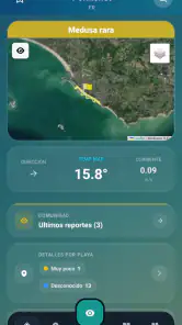 Meduseo screenshot