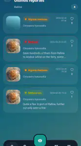 Meduseo screenshot