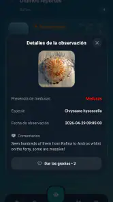 Meduseo screenshot