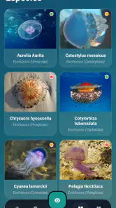 Meduseo screenshot