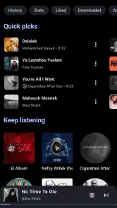 Metrolist screenshot