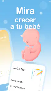 Mi embarazo semana a semana screenshot