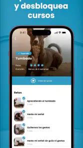 Mister Cooper – Dog Trainer screenshot