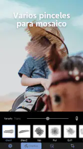 Mosaico+ Desenfoque de Fotos screenshot
