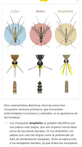 Mosquito Alert screenshot