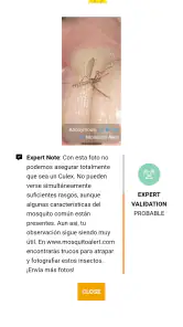 Mosquito Alert screenshot