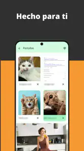 Navegador de vídeo screenshot