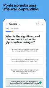 Notability: Notas con IA screenshot