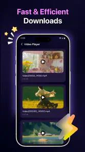 Offline Video Player - Browser screenshot