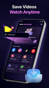 Offline Video Player - Browser screenshot